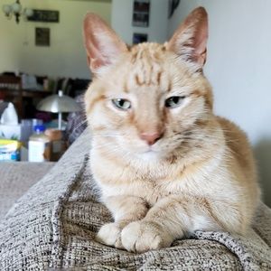 Meet your Posher, Ryan